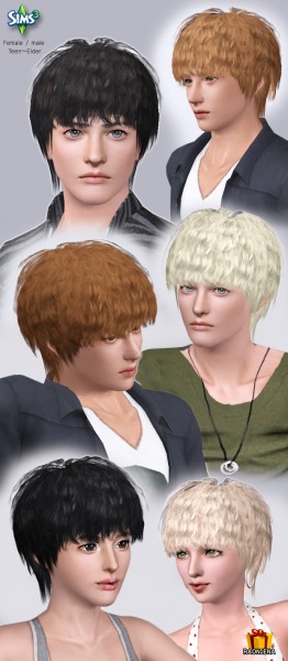 Crimp crazy   Hair 12 by Raonjena for Sims 3