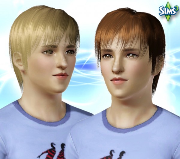 The Gentlemanly Cool Bravado Hairstyle   Conversion hair 22 by Raonjena for Sims 3