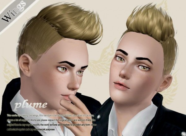 Cool hair for boys   Plume by Wings for Sims 3
