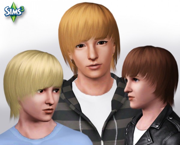 Cool easy hairstyles for boys   Hair 02 by Raonjena for Sims 3