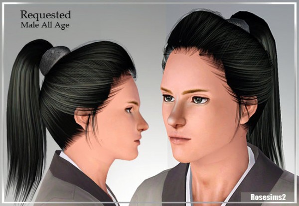 Ponytail with clip around by Rose for Sims 3