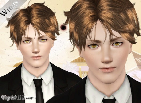 Tomboy hairstyles   canvas by Wings for Sims 3