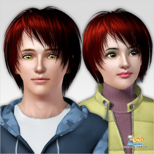 Edgy hairstyle ID 121 by Peggy Zone for Sims 3