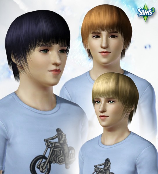  Thick and silky straight hairstyle   Conversion hair 34 by Raonjena for Sims 3