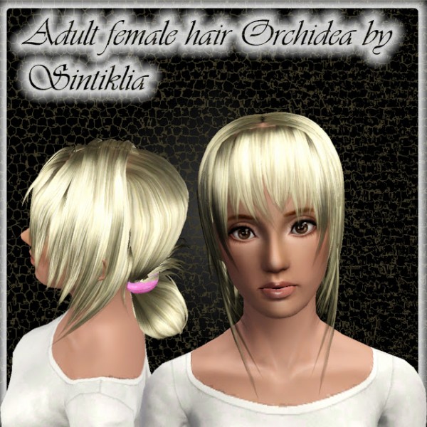 Crazy chignon hairstyle   Orchidea hair by Sintiklia for Sims 3