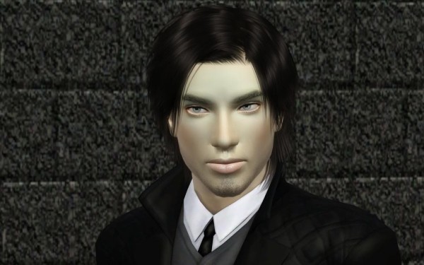 Layered hairstyle Lapiz`s Night Springs retextured by Bring Me Victory for Sims 3