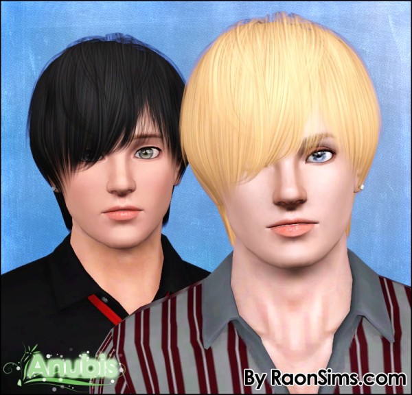 Shaggy hairstyle Raon 06 retextured by Anubis for Sims 3