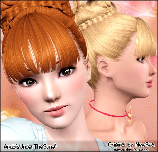 Braided crown chignon hairstyle NewSea`s Baby Face retextured by Anubis for Sims 3