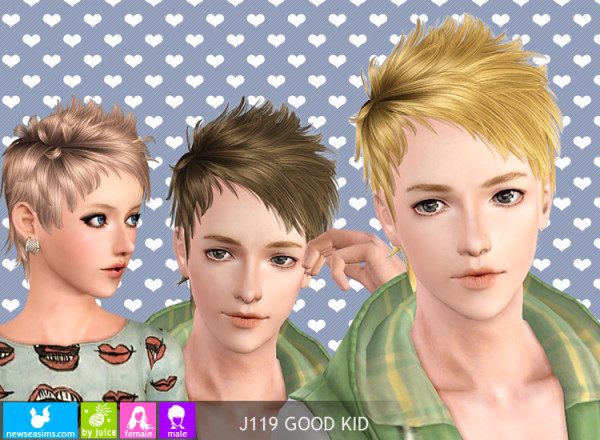 Spiny hairstyle J119 GoodKid by NewSea for Sims 3