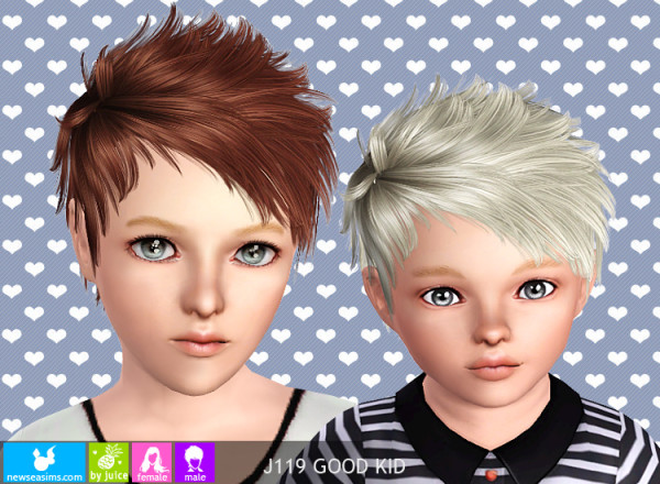 Spiny hairstyle J119 GoodKid by NewSea for Sims 3