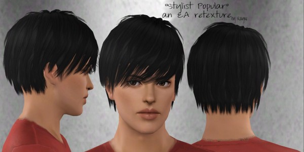 Stylist popular from store hairstyle retextured by Rayne`s Factory for Sims 3