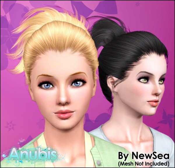 High bun hairstyle NewSeas Guajira retextured by Anubis for Sims 3