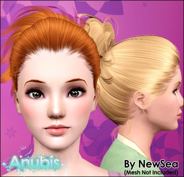 High bun hairstyle NewSeas Guajira retextured by Anubis for Sims 3