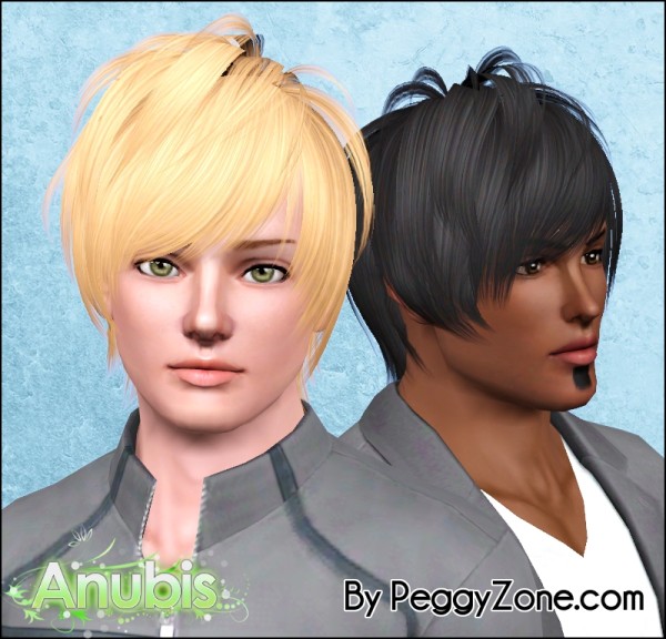 Messy hairstyle Peggy`s 661 retextured by Anubis for Sims 3