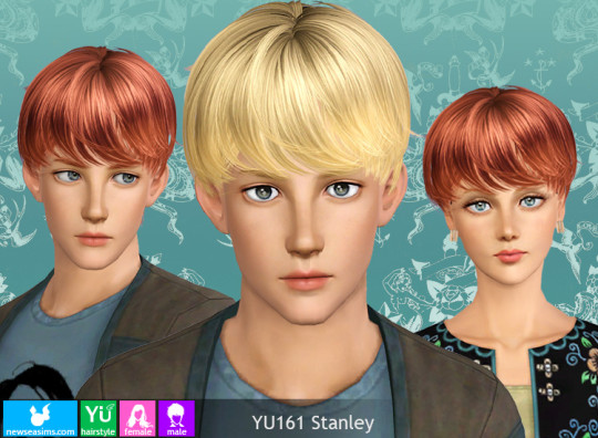 sims 3 hair cc folder