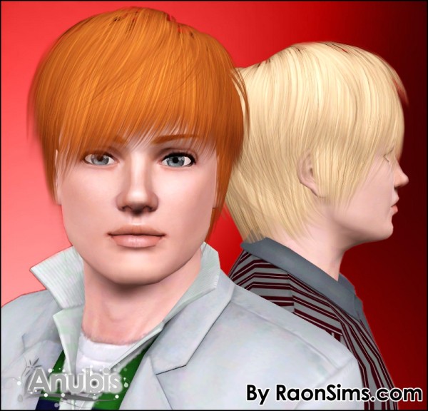 Summer look hairstyle Raon 01 retextured by Anubis for Sims 3