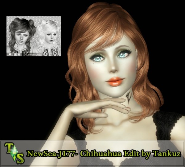 NewSea`s Chihuahua Medium lenght hairstyle retextured by Tankuz for Sims 3