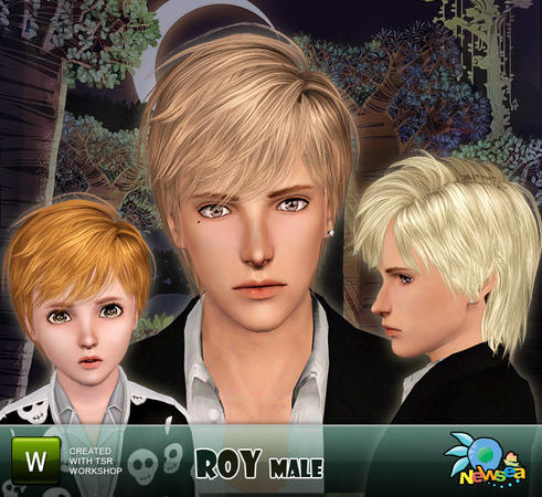  Roy Hairstyle Newsea for Sims 3
