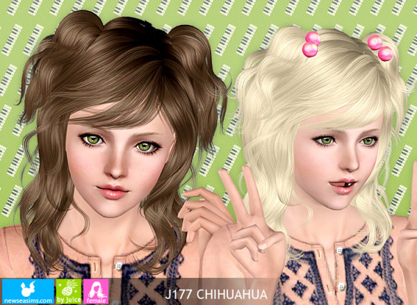 J177 Chihuahua Twisted hairstyle by Newsea for Sims 3