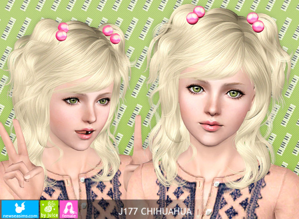 J177 Chihuahua Twisted hairstyle by Newsea for Sims 3