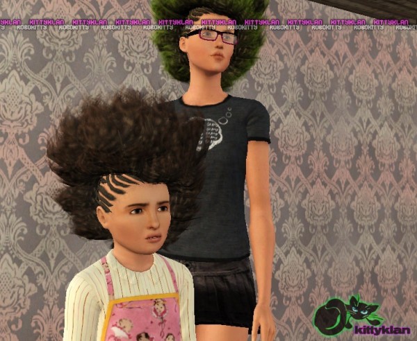Half braided afros hairstyle by robokitty for Sims 3