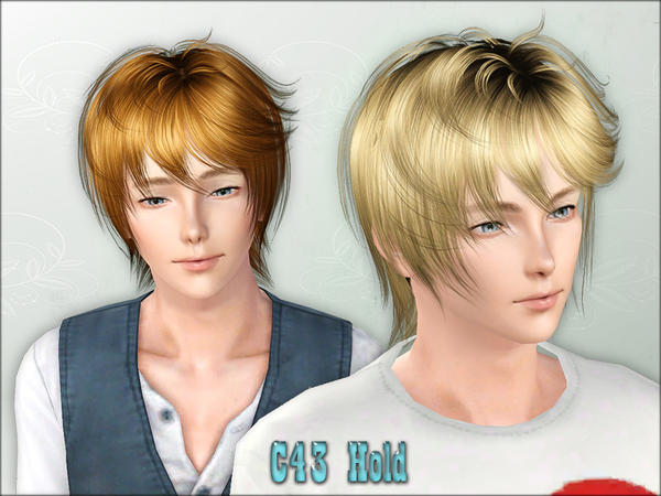 Hold Hairstyle by Cazy for Sims 3