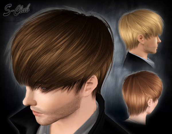 Nice hairstyle by S Club Privee for Sims 3