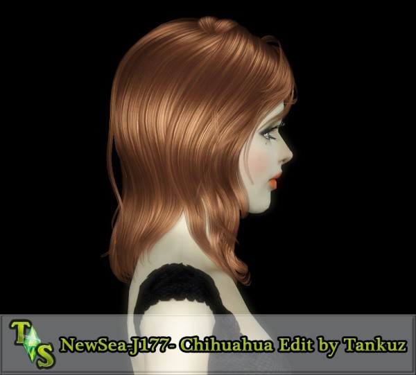 NewSea`s Chihuahua Medium lenght hairstyle retextured by Tankuz for Sims 3