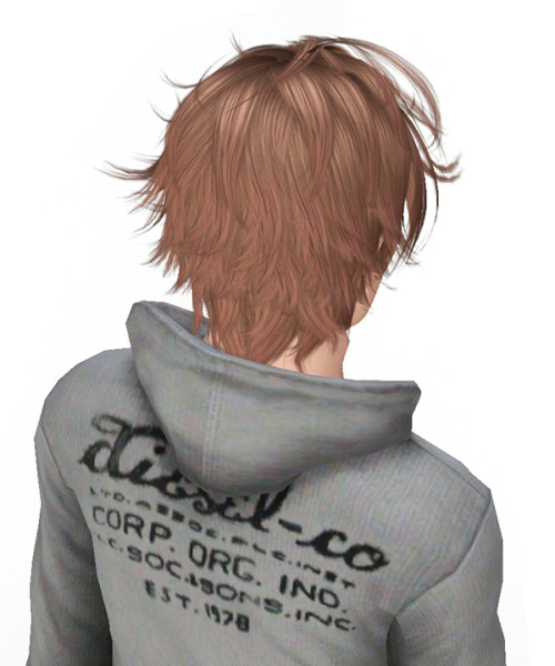 Flipping Out for males hairstyle 001 by Kijiko for Sims 3