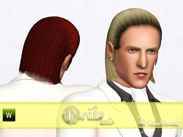 Pride hairstyle by AB Creations for Sims 3