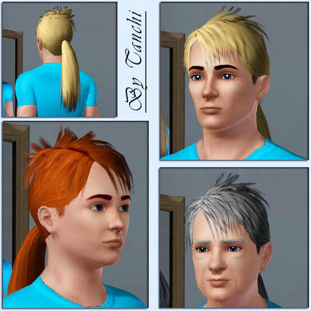 Long tail with assymmetric bangs hairstyle by Tanchi for Sims 3