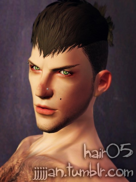 Half shaved hairstyle 05 by Jan for Sims 3