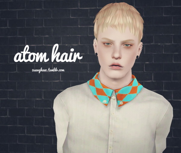 Atom hairstyle by 2sanghaec for Sims 3