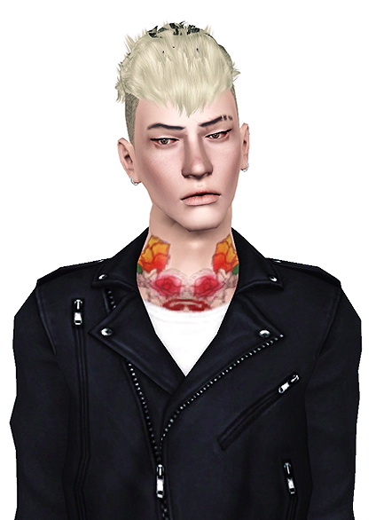 Half shaved hairstyle Jan 05 retextured by Jas for Sims 3