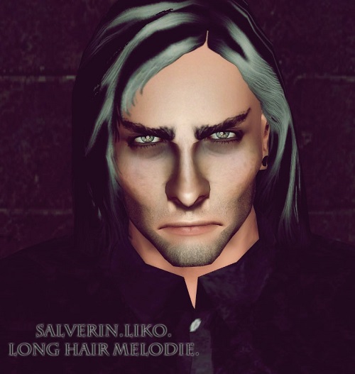 LiKo Long Hair Melodi converted for men by Salverin for Sims 3