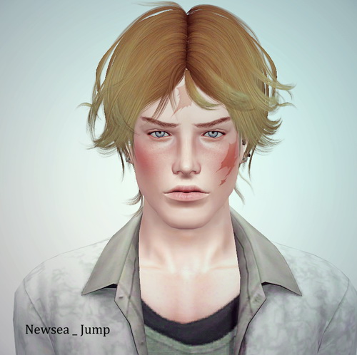 Newsea`s Jump and Daisy hairstyles retextured by June for Sims 3