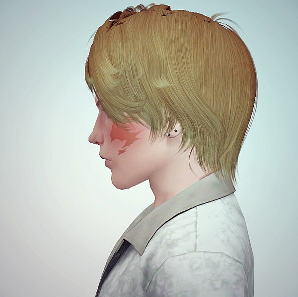 Newsea`s Jump and Daisy hairstyles retextured by June for Sims 3
