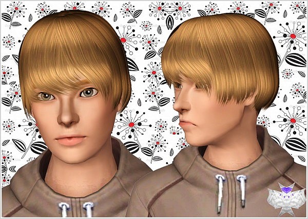 Guih hairstyle by David  for Sims 3