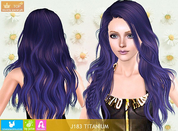 J183 Titanium long hair with small braid by NewSea - Sims 