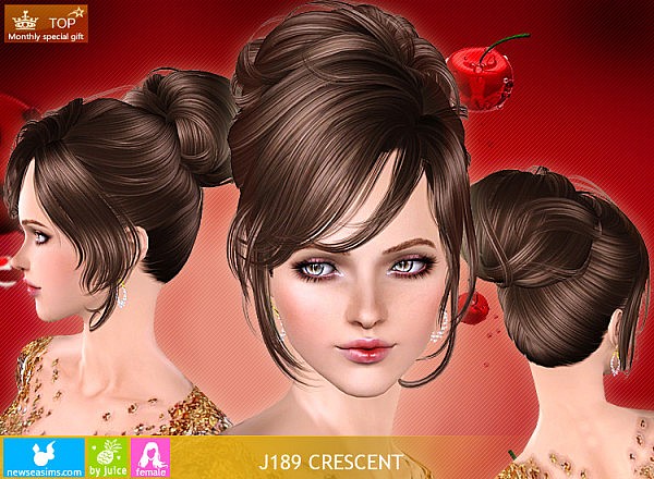 J189 Crescent high bun with bangs hairstyle by NewSea for Sims 3