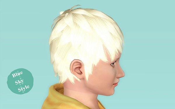 Tachibana hairstyle by Blue Sky for Sims 3