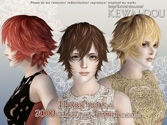 Tumblr Hairstyle By Kewai Dou Sims Hairs