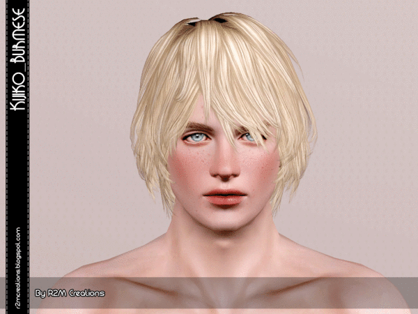 Kijiko Burmese hairstyle resized for male by R2M Creations for Sims 3