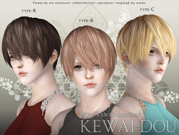 Riccio hairstyle by Kewai Dou for Sims 3