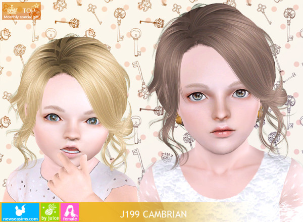 J199 Cambrian hairstyle by NewSea for Sims 3