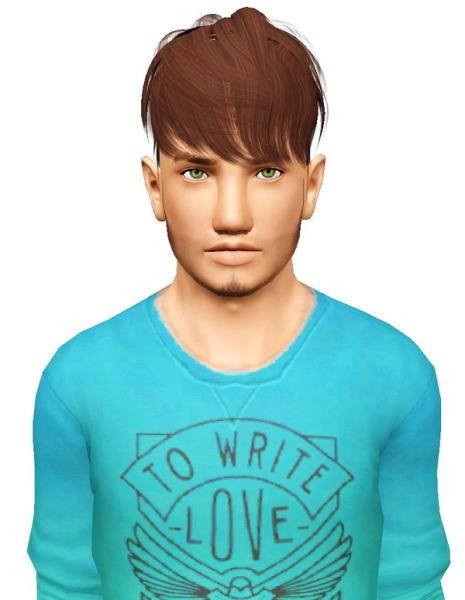 Raon 13 hairstyle retextured by Pocket for Sims 3
