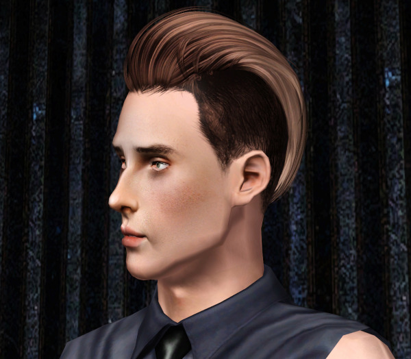 Newsea`s Macho hairstyle retextured by Thecnihs - Sims 3 Hairs