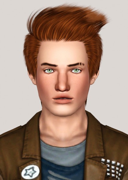 Skysims 256 hairstyle retextured by Someone take photoshop away from me for Sims 3