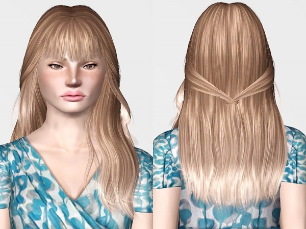 Ade Darma Mini Dump hairstyle by Chantel Sims for Sims 3