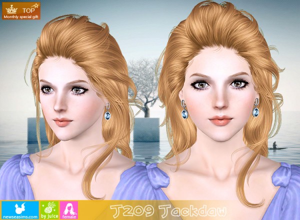 J209 Jackdaw hair for TS3 by NewSea for Sims 3